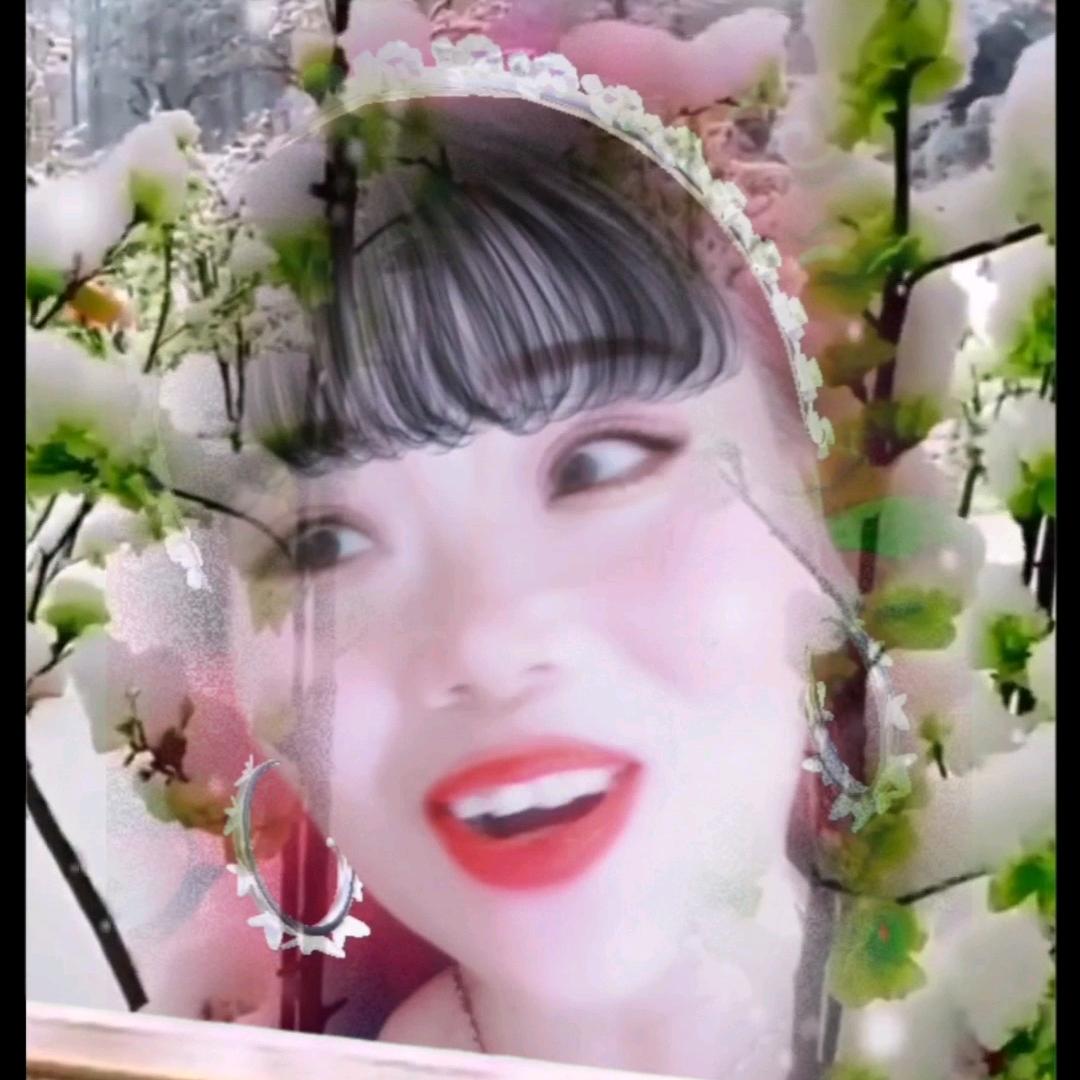 风姐1234
