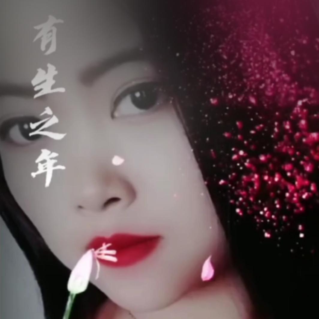 杨盈盈