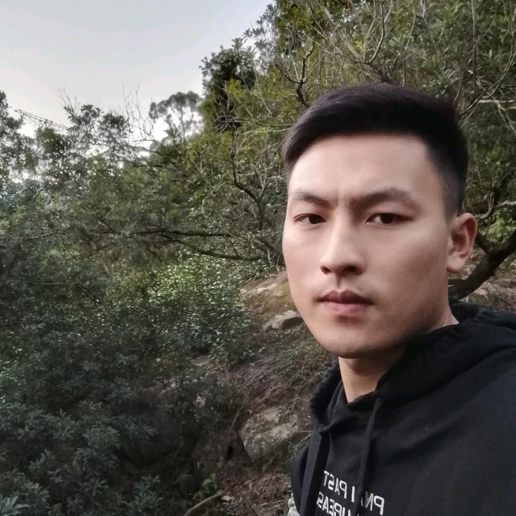 小杨