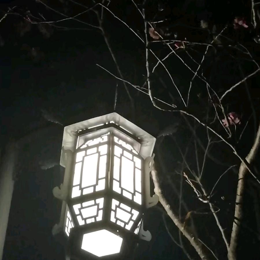 落叶