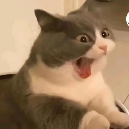 啦啦啦.
