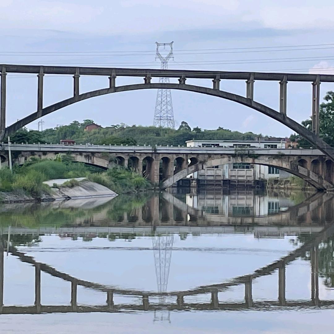 🐶和🐭的奋斗💏故事