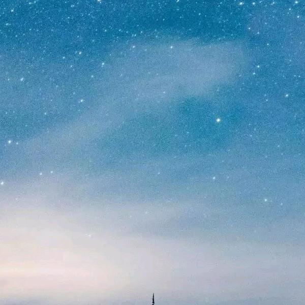 小陆🌹🌹🌹🌷🌷🌷