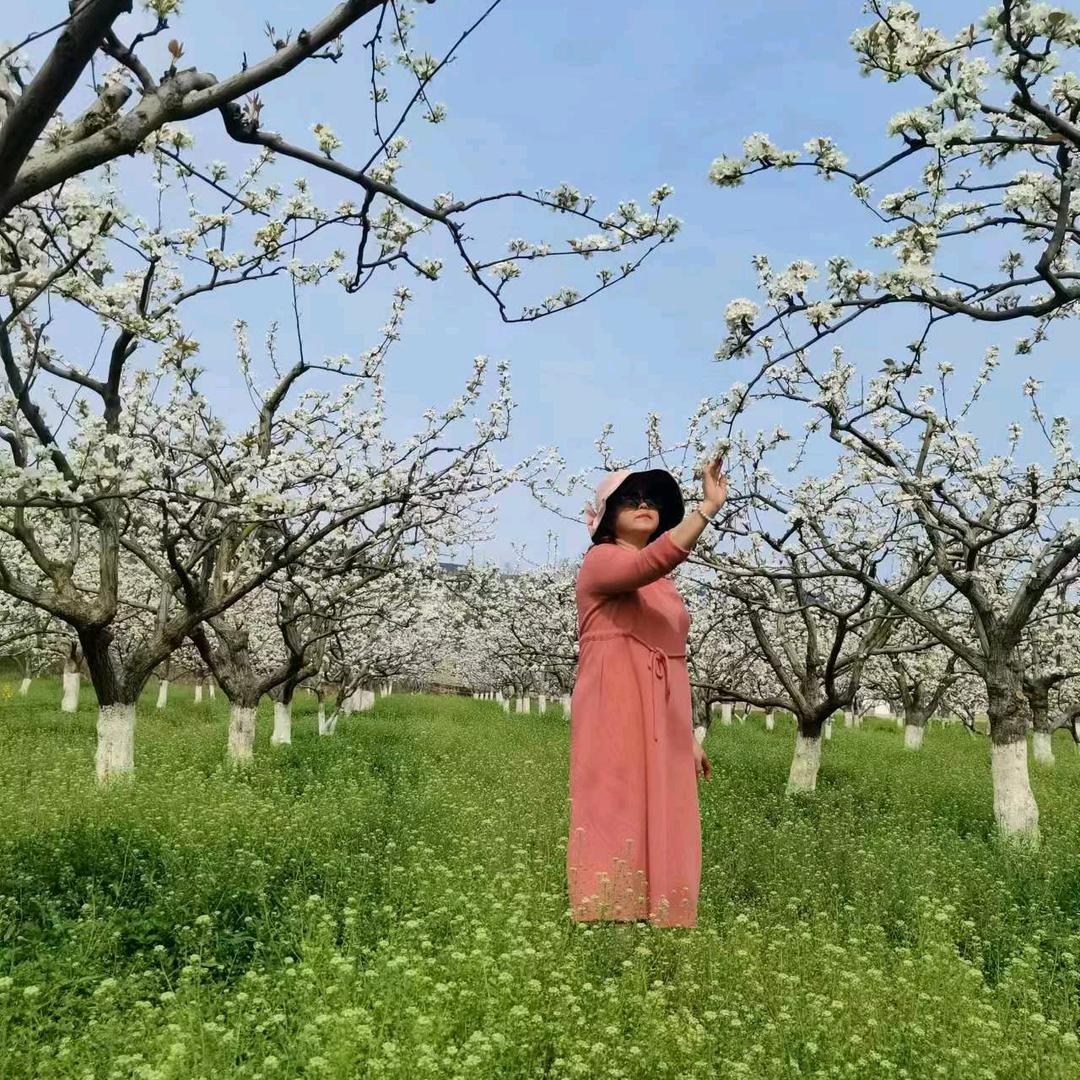 王家大小姐（玉兔）