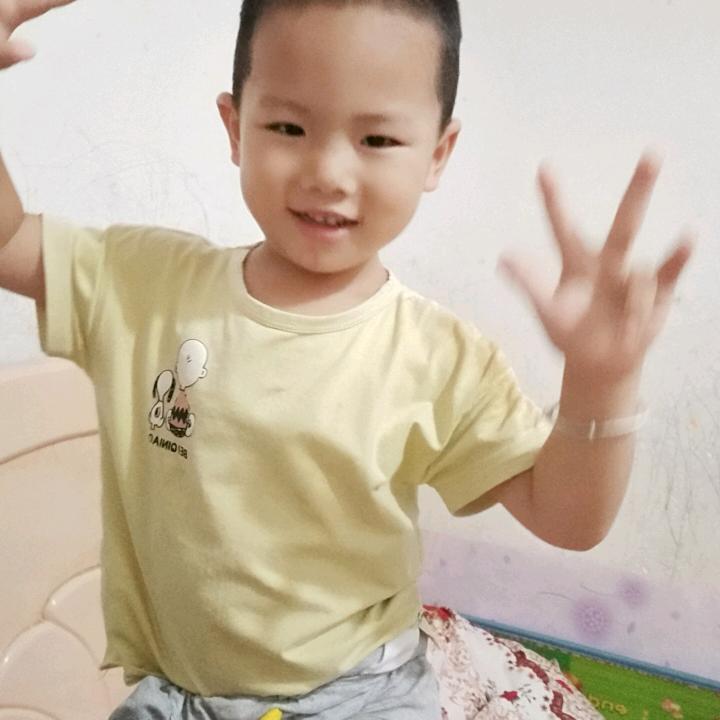 六月飞舞