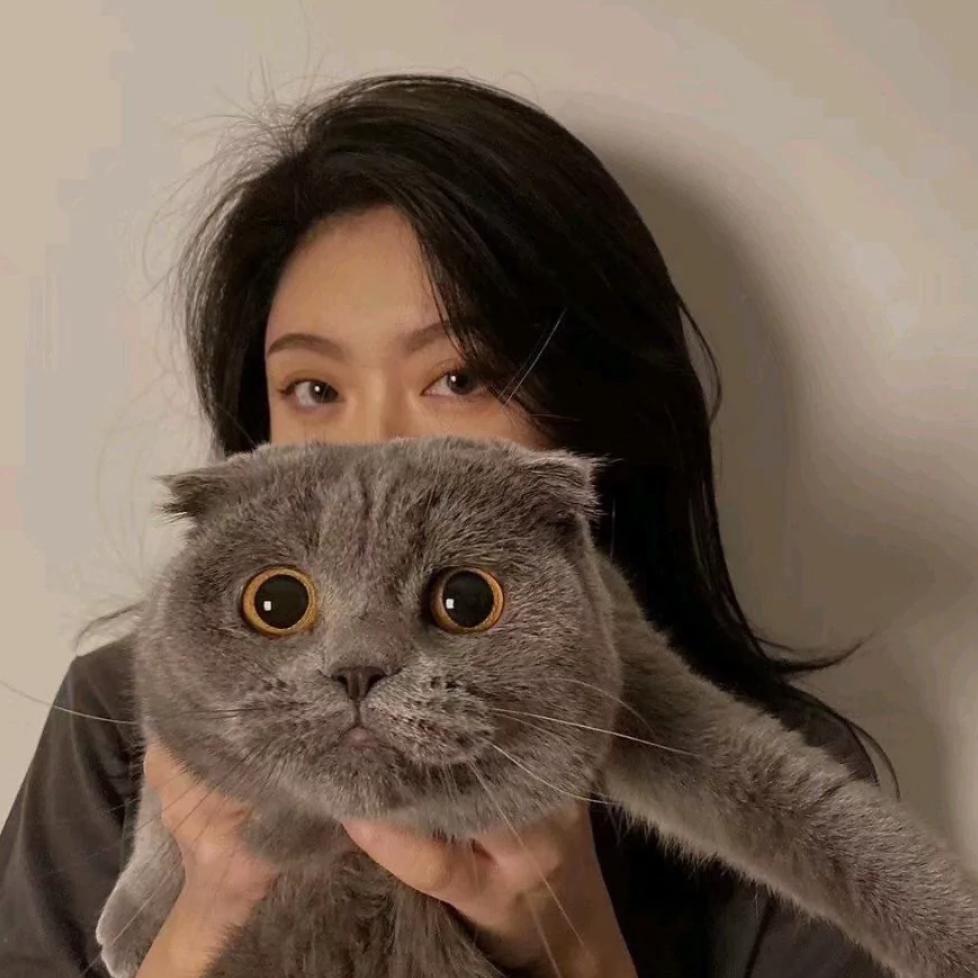 小李🧸