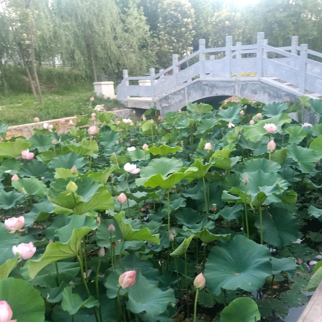 要记得我名字