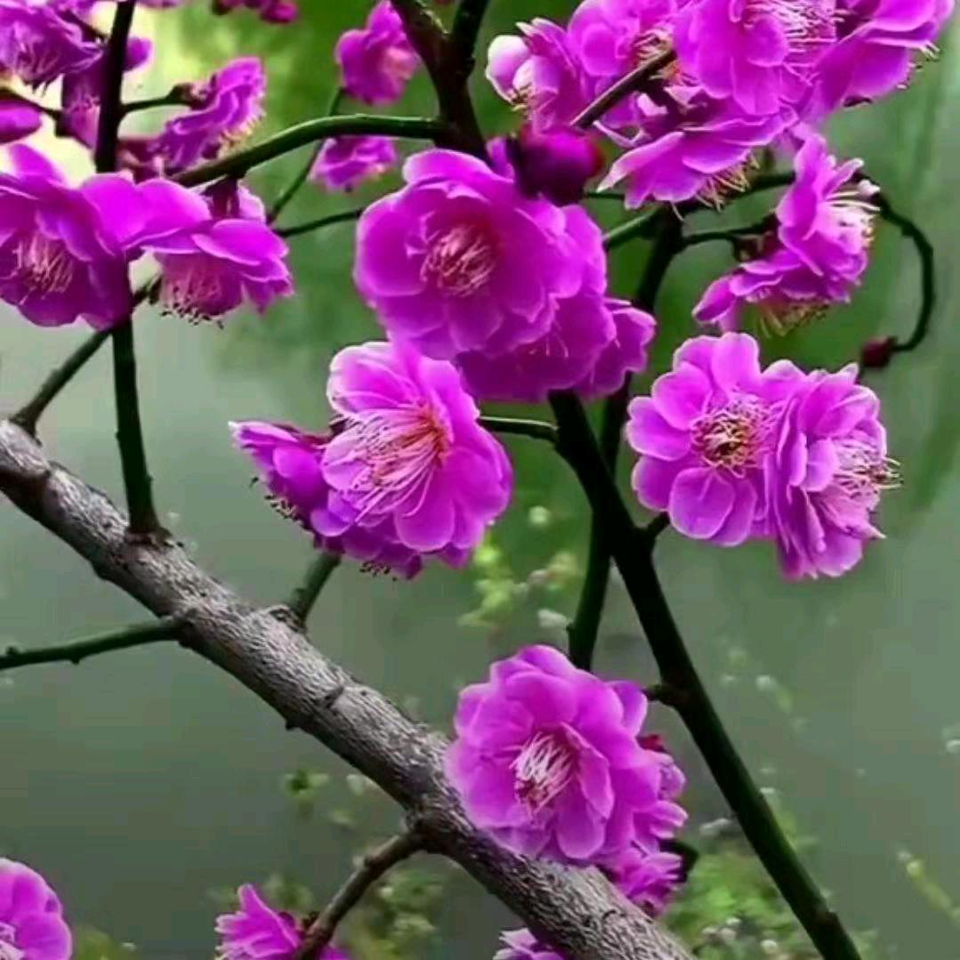 用户一生幸福