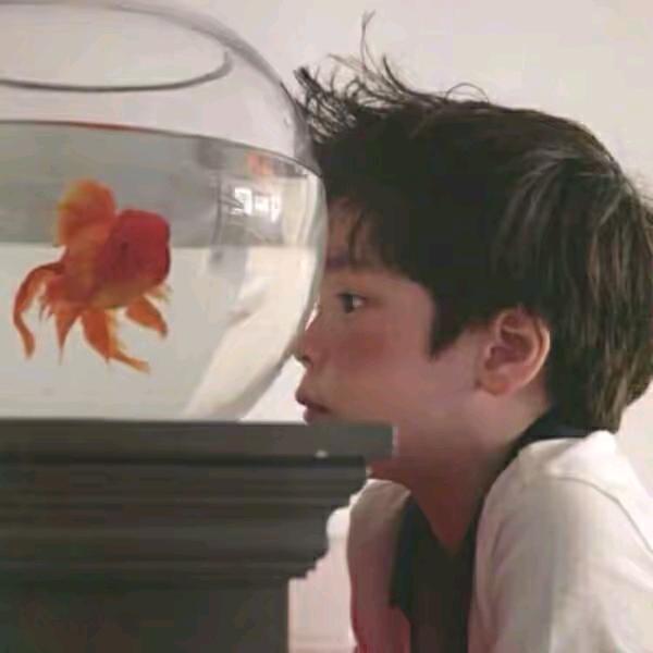 眼龙瞎