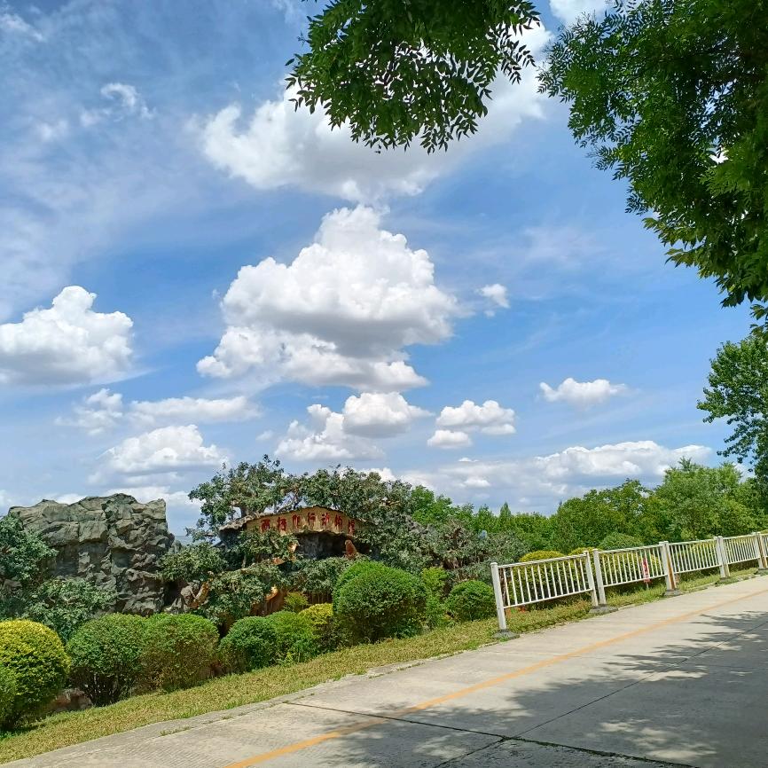 岁月静好🍎🍎