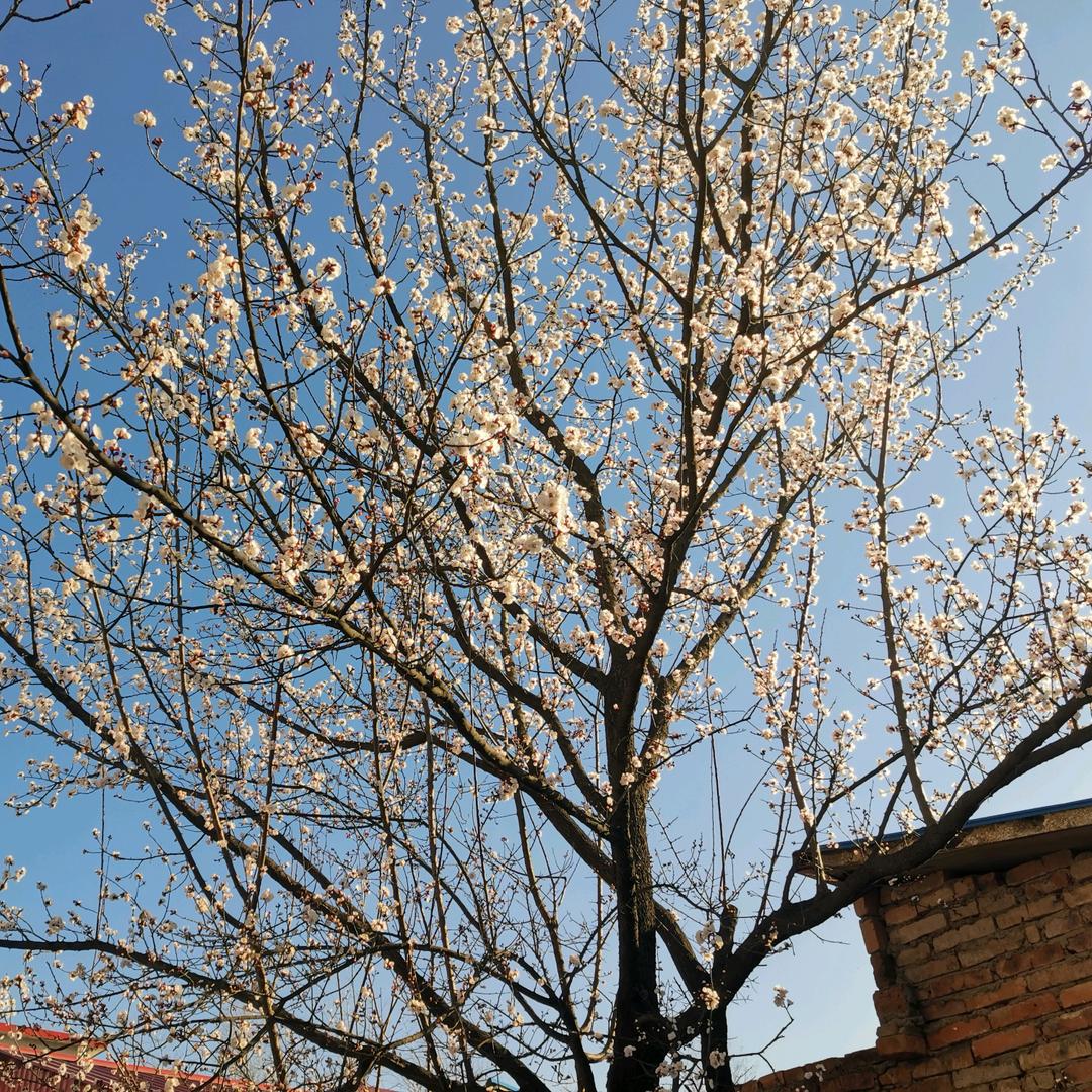 2019买房人