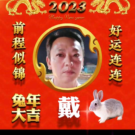 戴