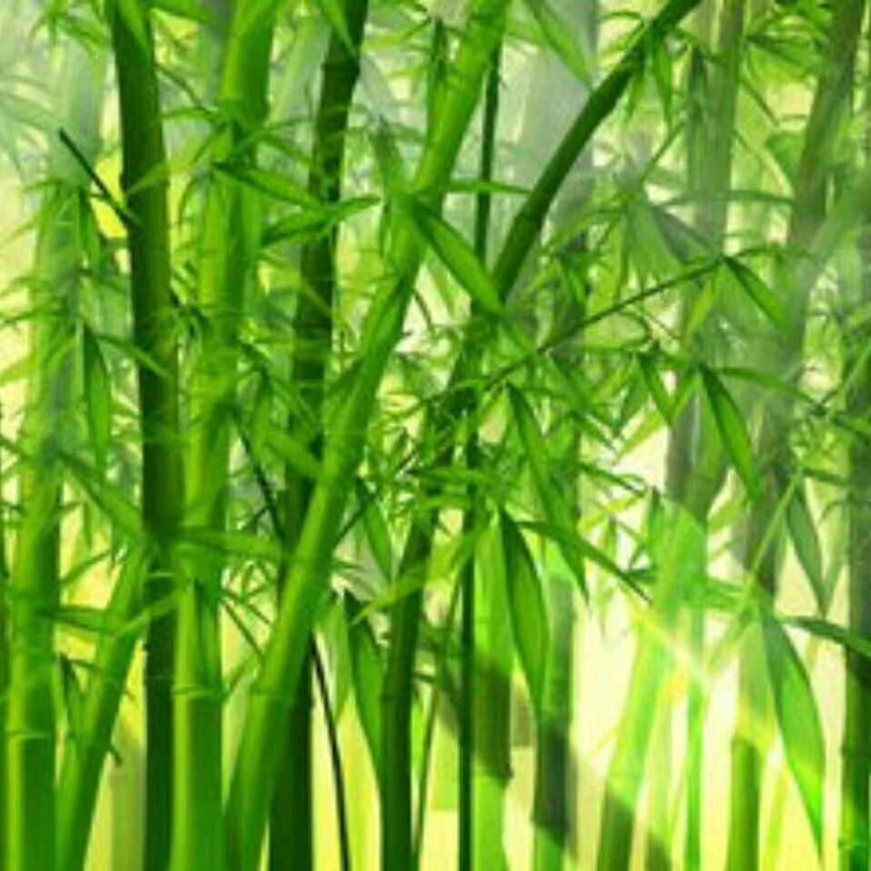 @阿祯妈妈2023.9.16🇨🇳