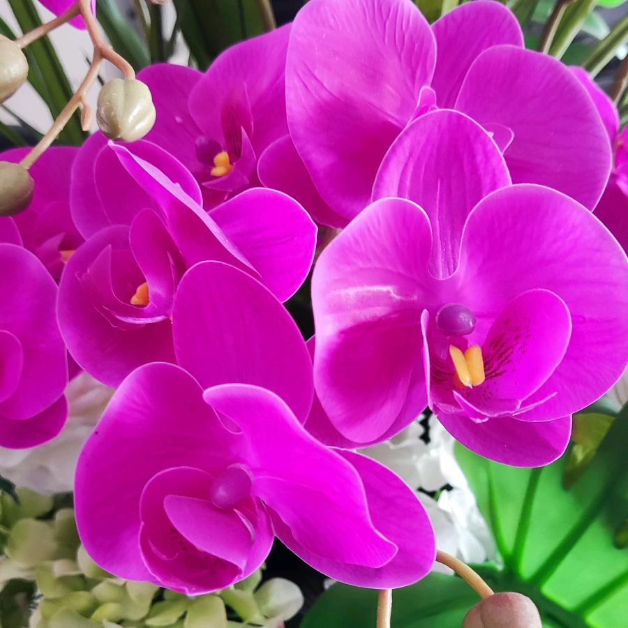 好好爱自己！善待他人🌹🌹🌹🧡ྀི
