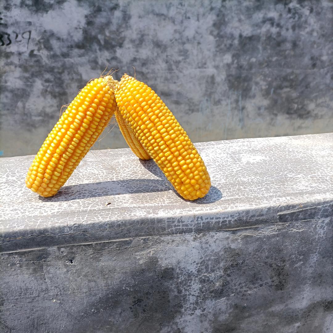 上海滩