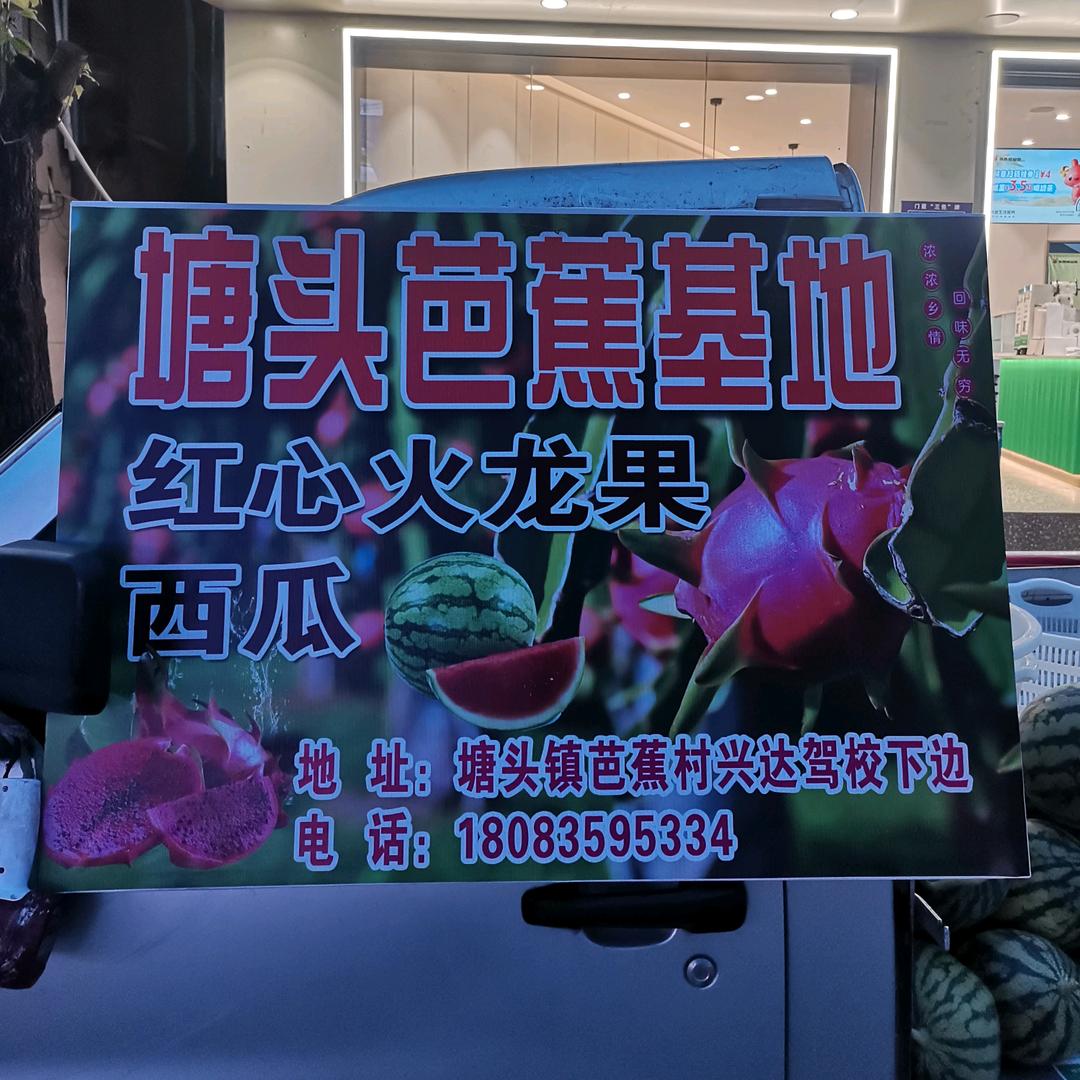 江口火龙果刘姐