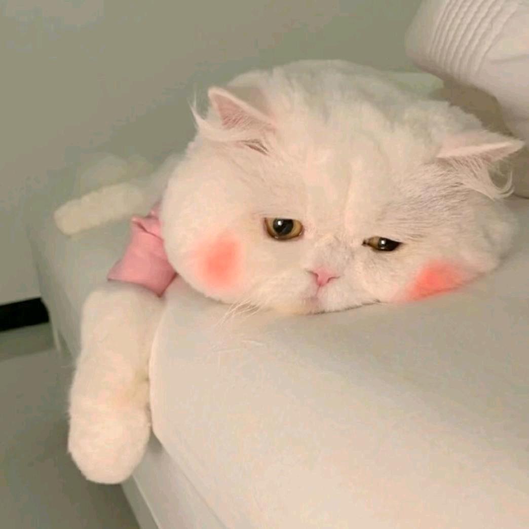 biu biu~