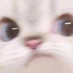 狂炫冰淇淋
