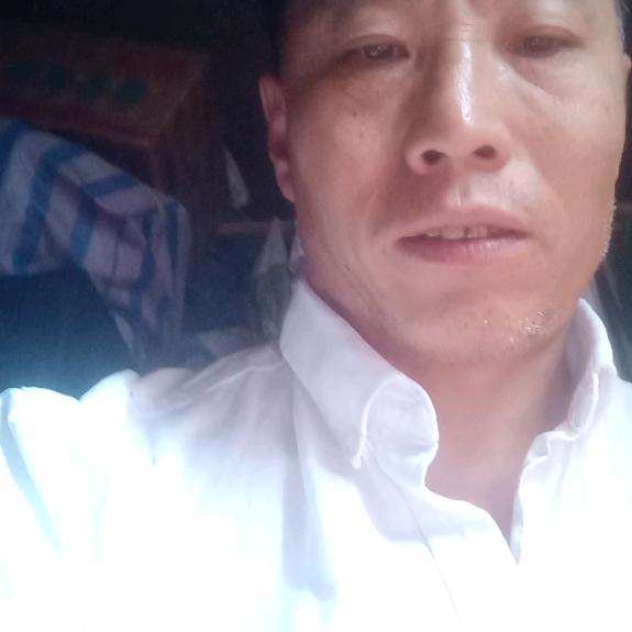 小杨