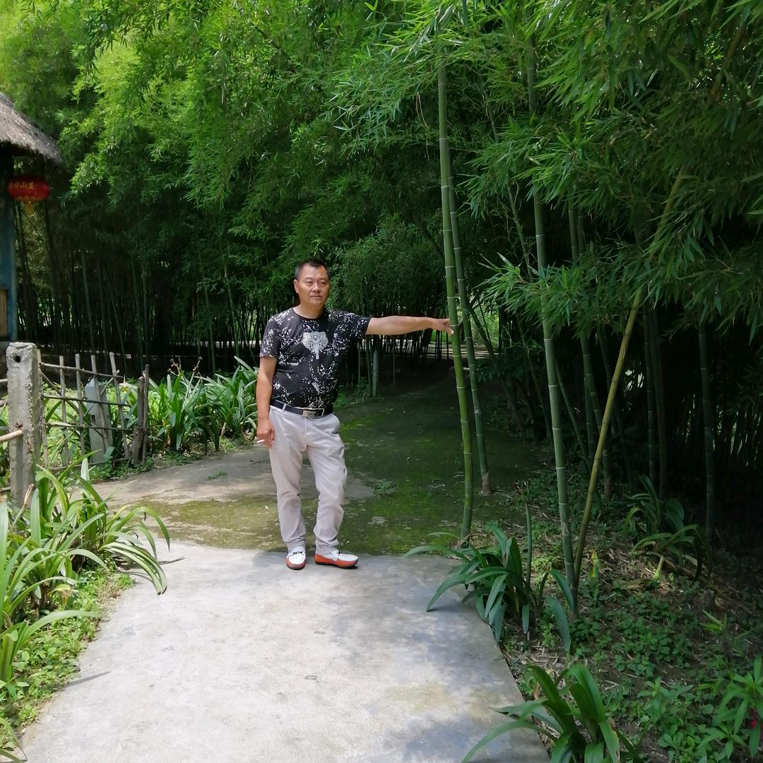 马到成功头像