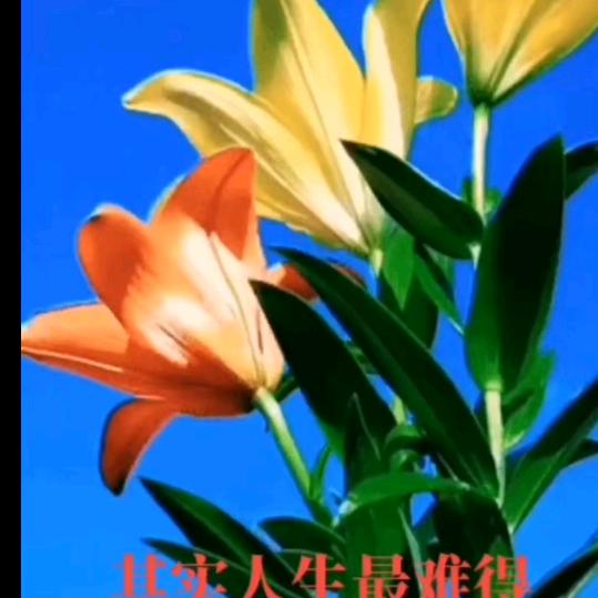 从来