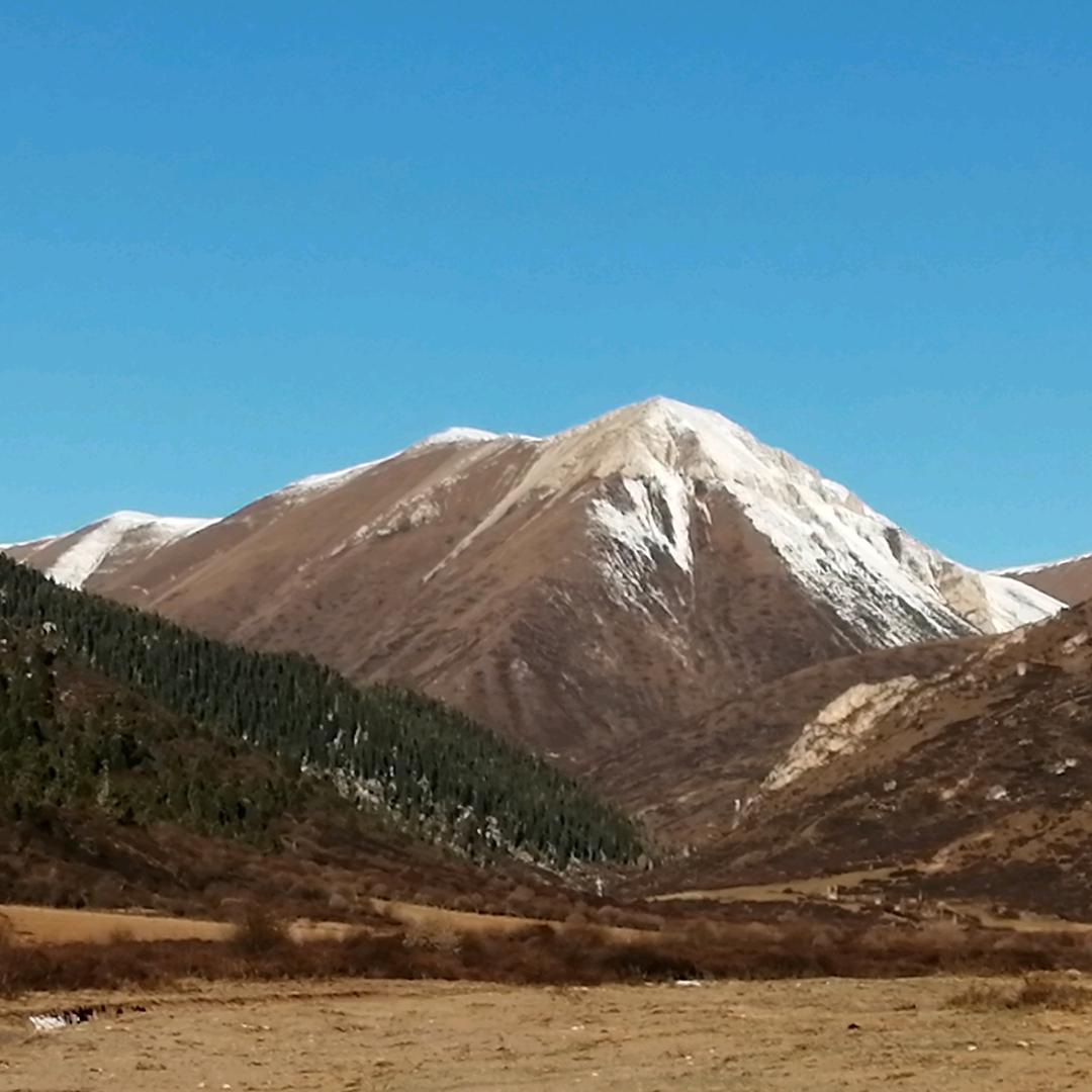 在水一方用户126181