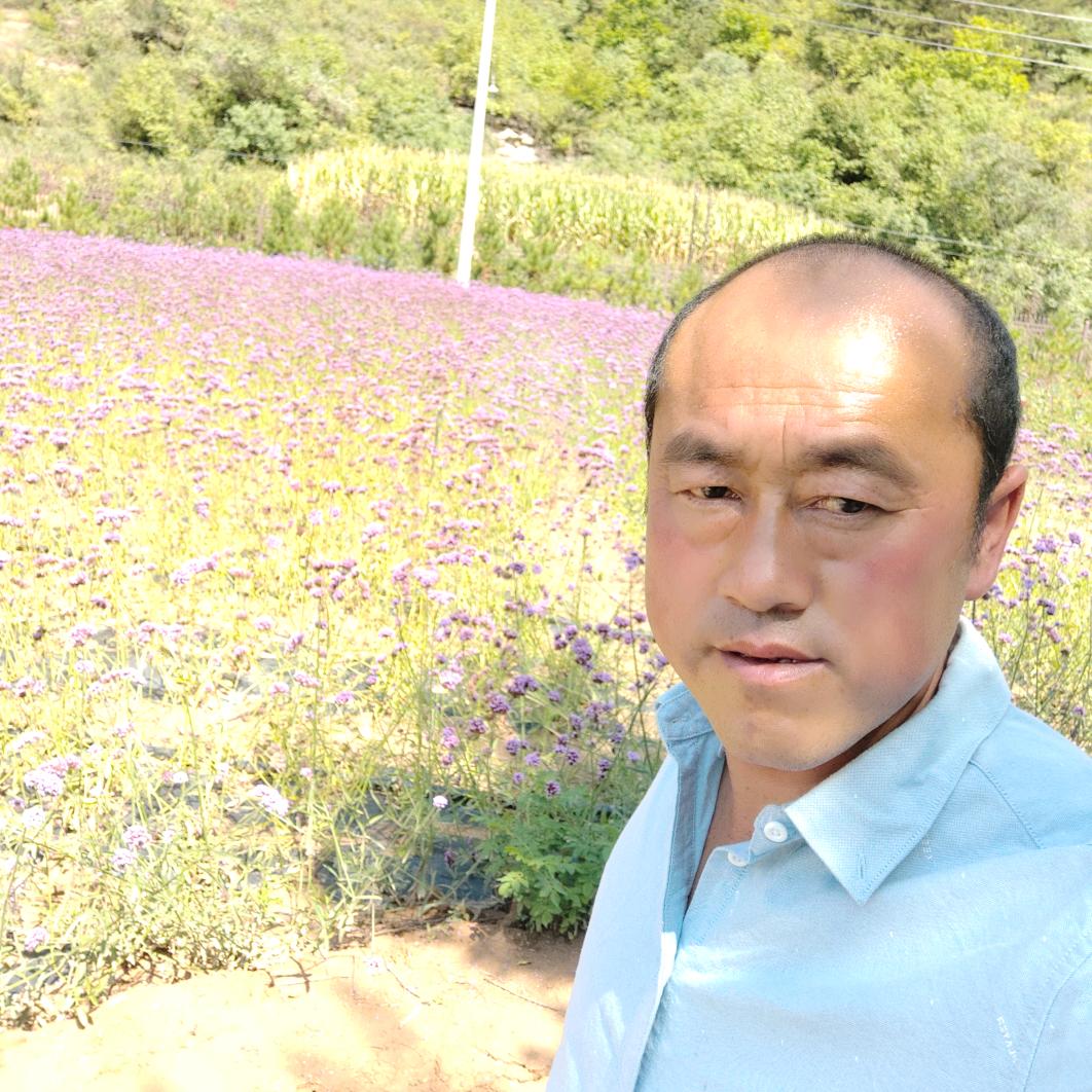 甘肃老实人