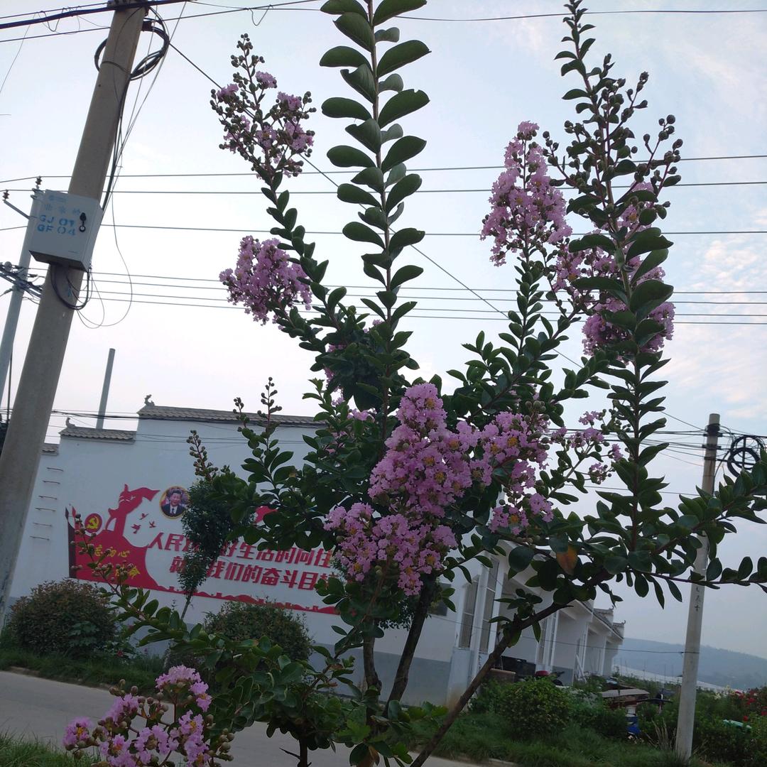 春暖花开~（拒绝私聊）