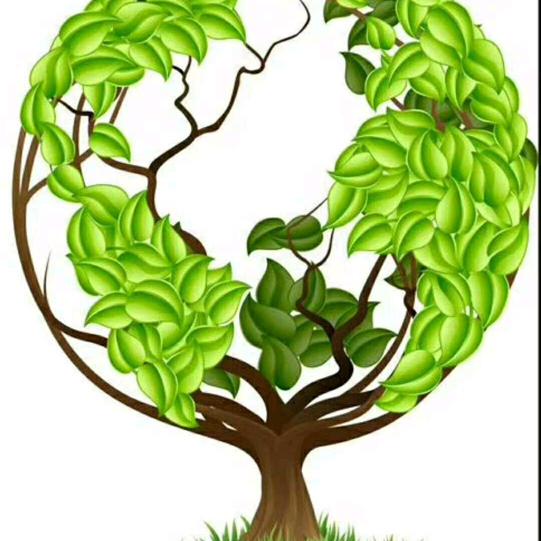 开心快乐每一天❤️