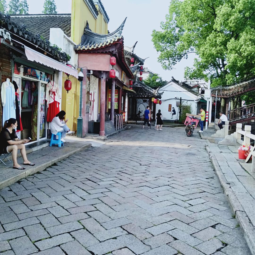 金丝楠
