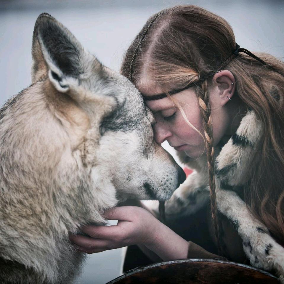 不骑毛驴的张果老