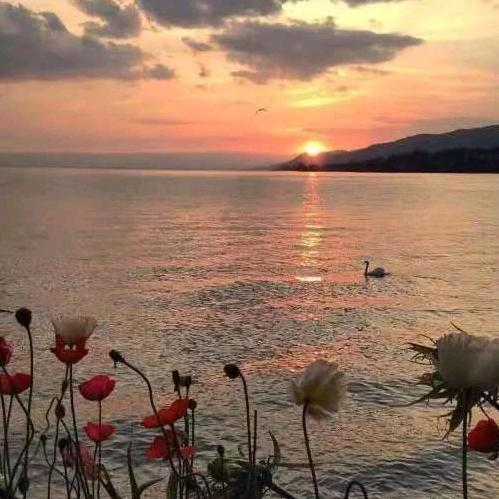 小幸运(≧∇≦)/