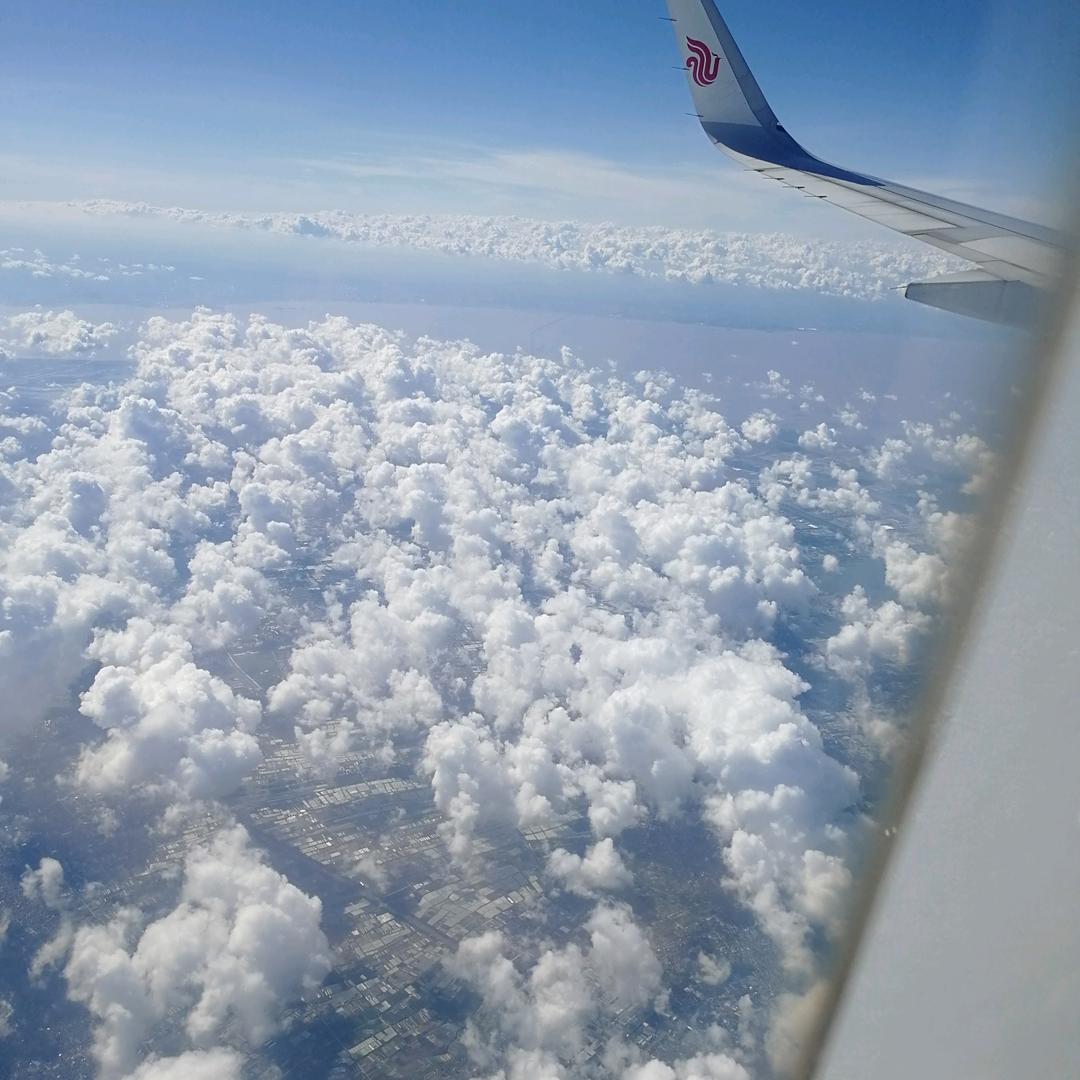 顺其自然