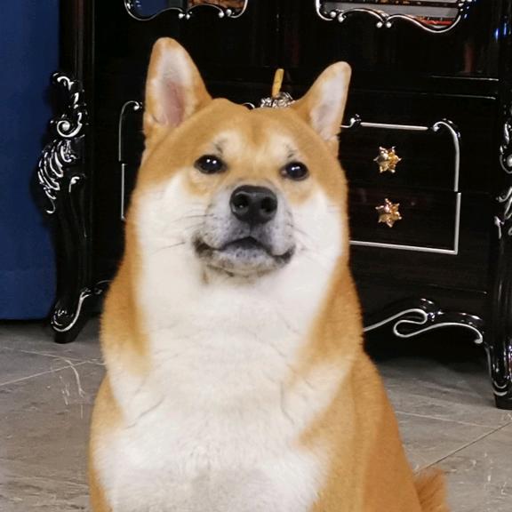 小鱼儿海里游
