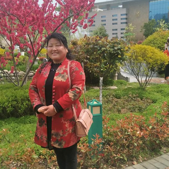 腊月梅