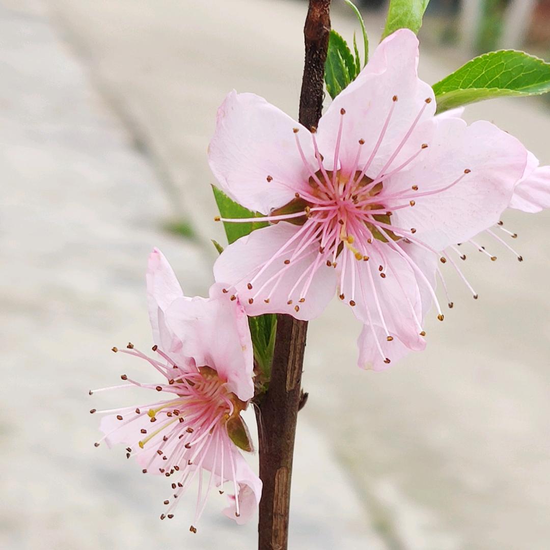 🌈🌈🌈抓不住的风