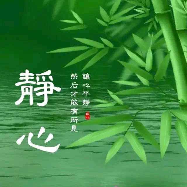 晨林