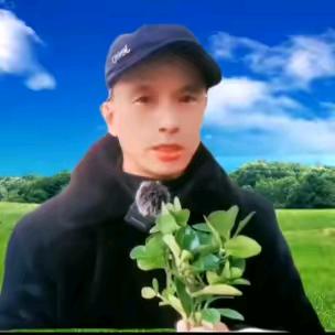 青哥特效