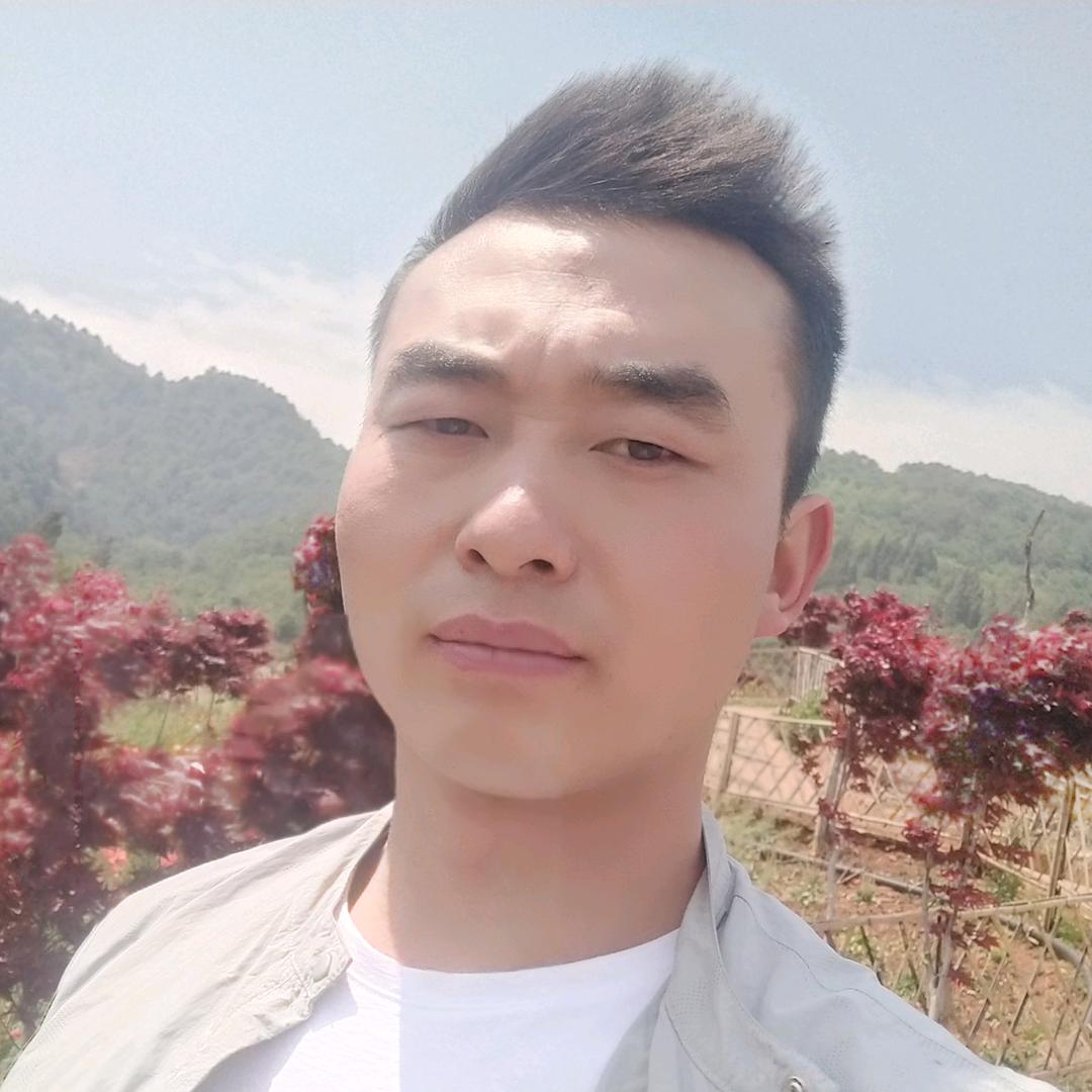 汪洋中的一条船