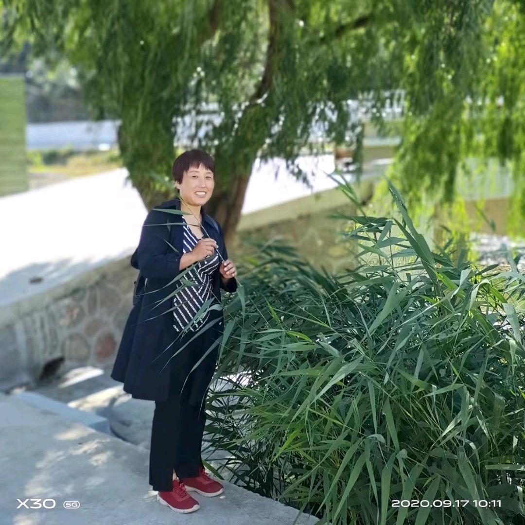 养鸵鸟的英子二号店