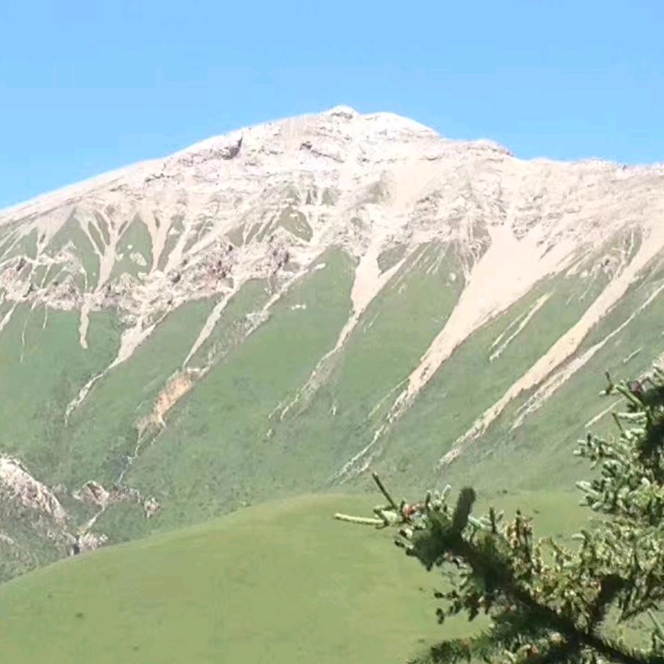 康巴🌹旦朱1376🙏