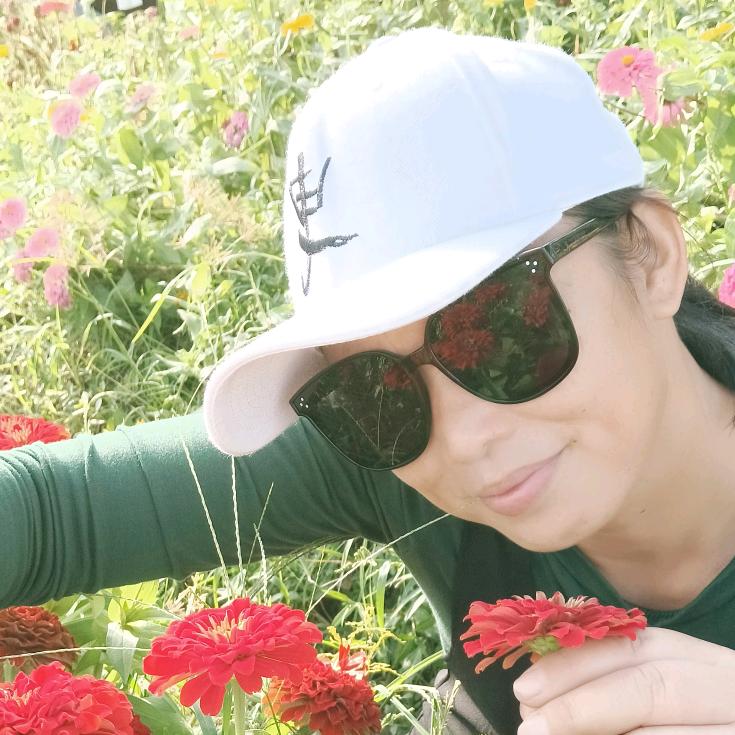 收布料，衣服等，