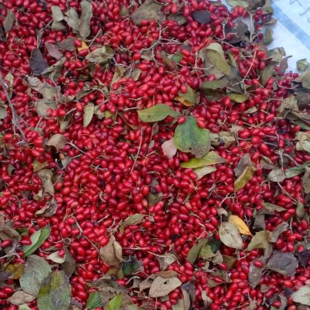 阳光总在风雨后