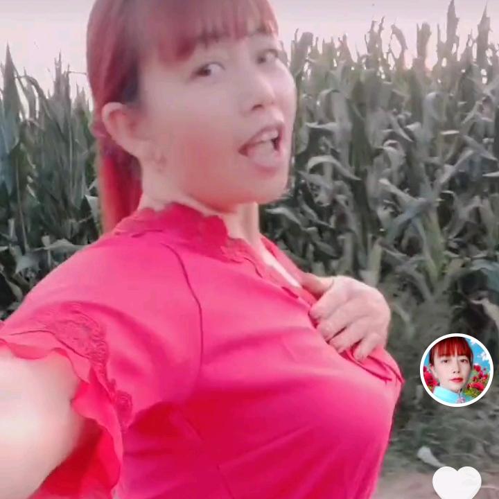 小蝴蝶姐