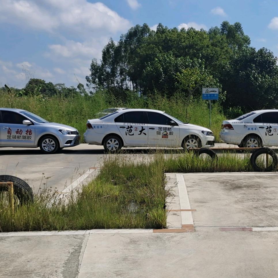 00后公馆啊范大教练