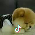 莫老。愛～妳