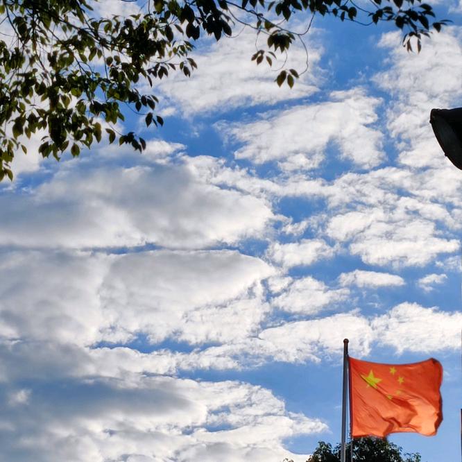 只是
