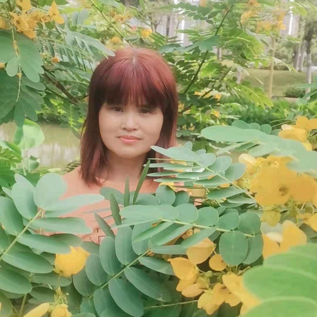 蒋四