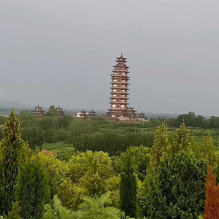忘忧