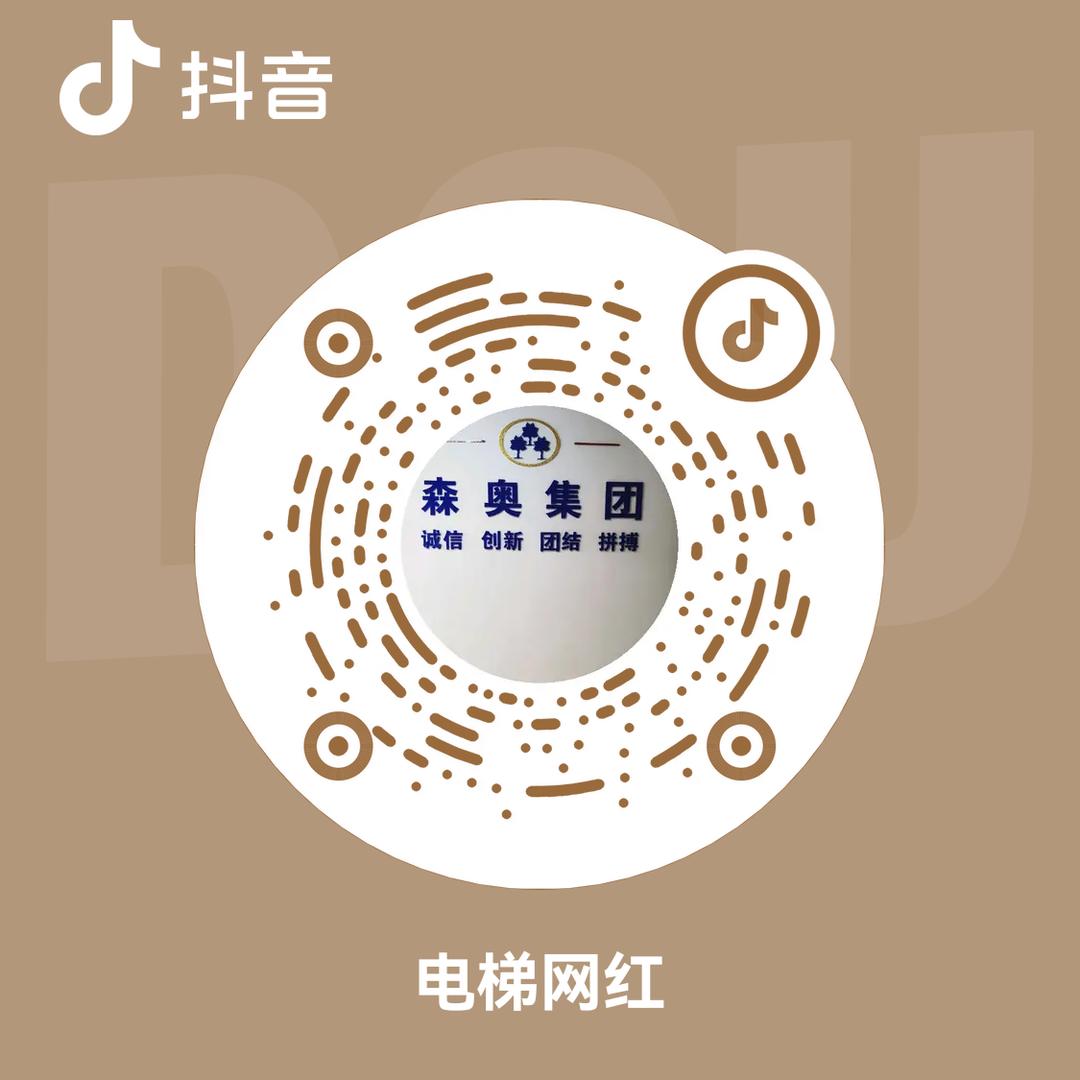 桂林森奥电梯集团有限公司